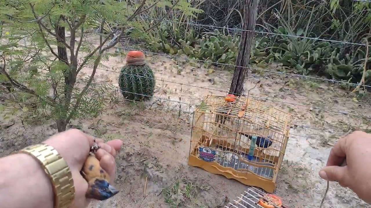 21 de fevereiro de 2023