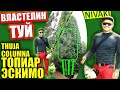 СТРИЖКА ТУИ КОЛОМНА/ формировка туи/ ТуиМинск/ властелин туи