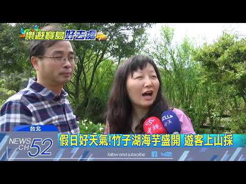 20180325中天新聞　假日好天氣！竹子湖海芋盛開　遊客上山採