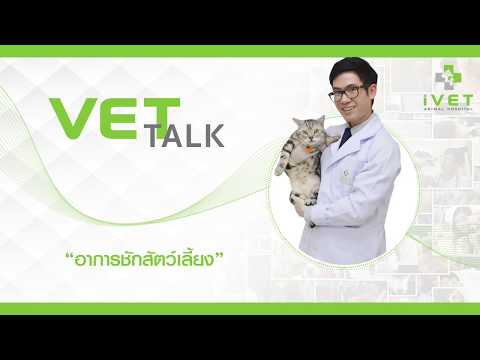วีดีโอ: วิธีรักษาโรคลมบ้าหมูในแมว