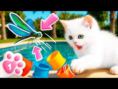 Il gattino bianco Kefir acchiappa una libellula!
