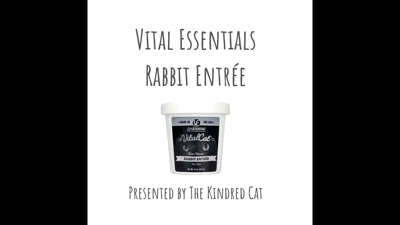 Trying out Vital Essentials frozen rabbit entrée
