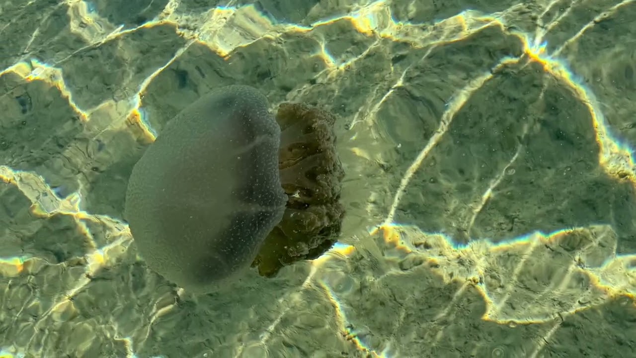 Ep20: A few quiet days at Gladstone Bay Campground.