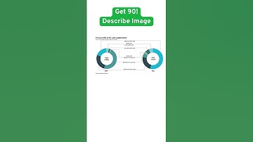 PTE Describe Image | Largest Banks