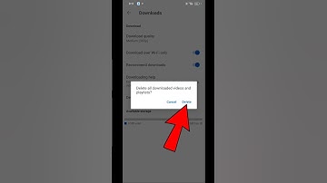 How to delete downloaded videos and playlist on YouTube | Delete All Videos in YouTube #viral