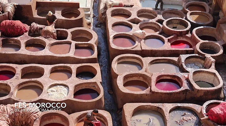 摩洛哥最臭的景點 | Fes Morocco//Chouara Tannery [菲斯染皮坊]
