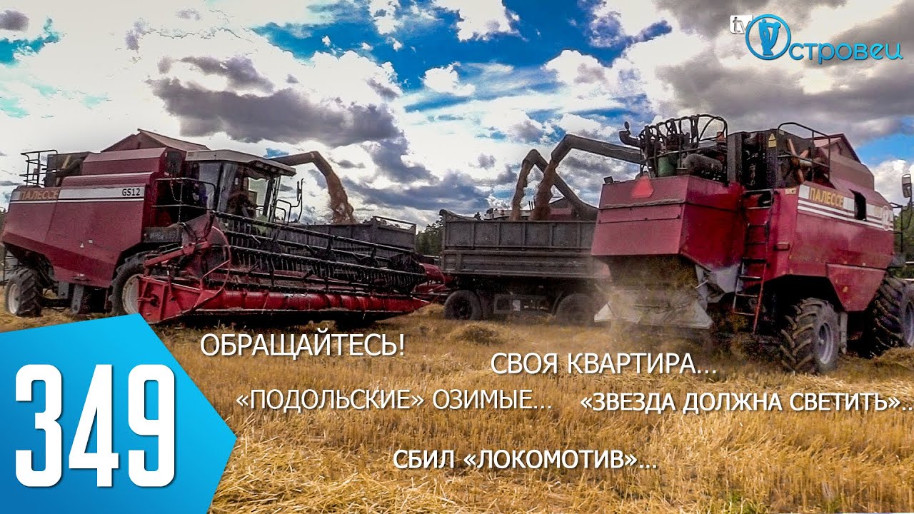 Твой островец. Твой островец. Медицинский репортер. Твой островец. Твой островец.