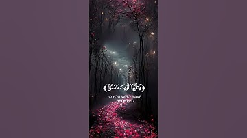 كروما شاشه سوداء قرآن كريم 🌿تلاوة من سورة الأحزاب 🌿القارئ سلمان العتيبي 🌿 #القرآن_الكريم
