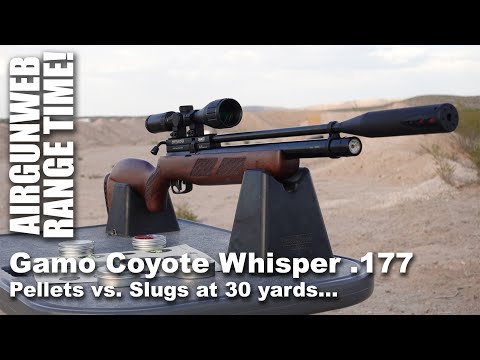 Gamo Coyote Whisper .177 Caliber - JSB pellets vs. JSB Knockout Slugs, which shot better at 30Y?