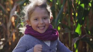 Navigate Fall in Northumberland County