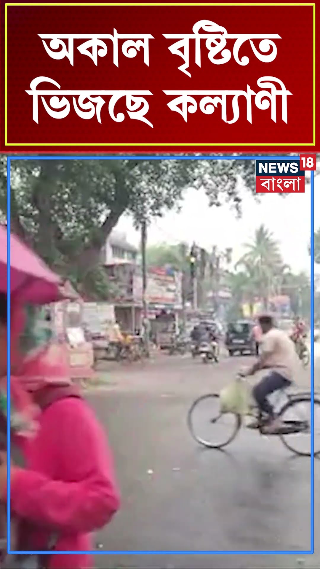 অকাল বৃষ্টিতে ভিজছে Nadia র Kalyani #shorts