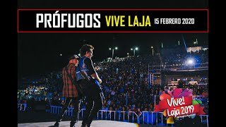 Miniatura de "REVIVE SODA interpreta Prófugos en FESTIVAL VIVE LAJA 2020 / El Tributo a Soda"