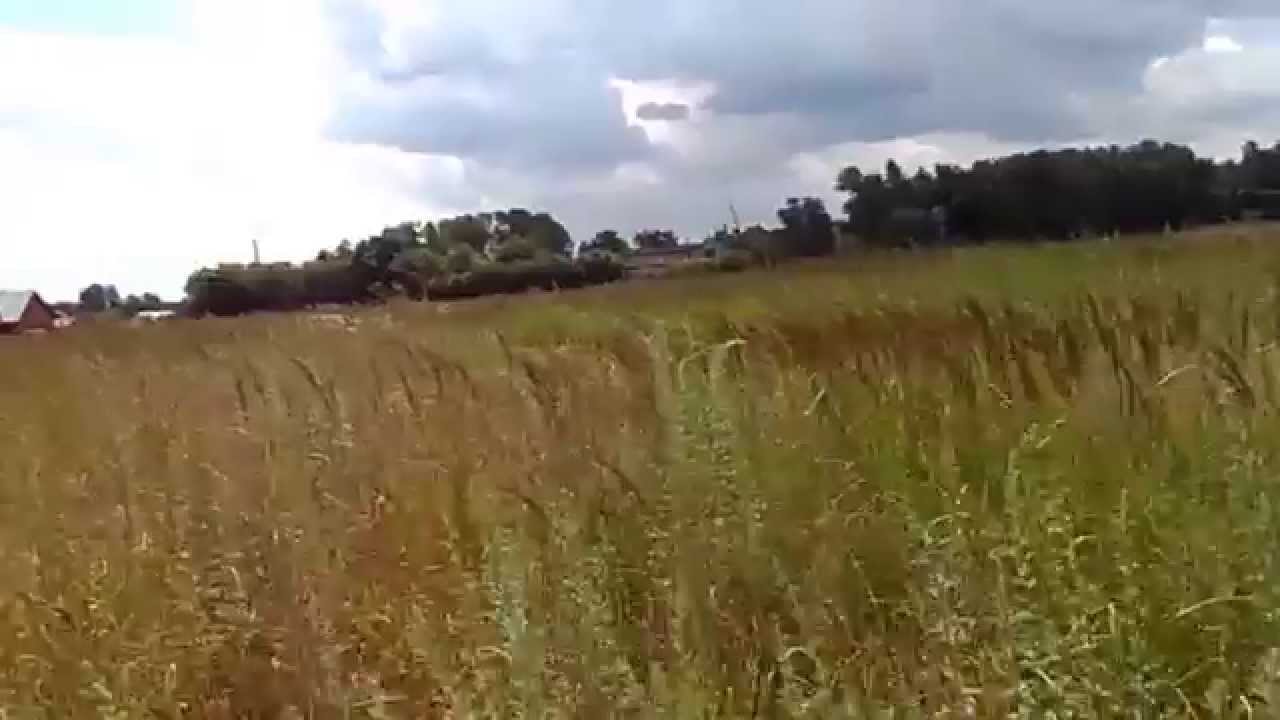 Черное око бдо