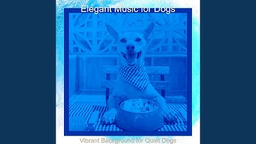 Playful Backdrops for Puppies