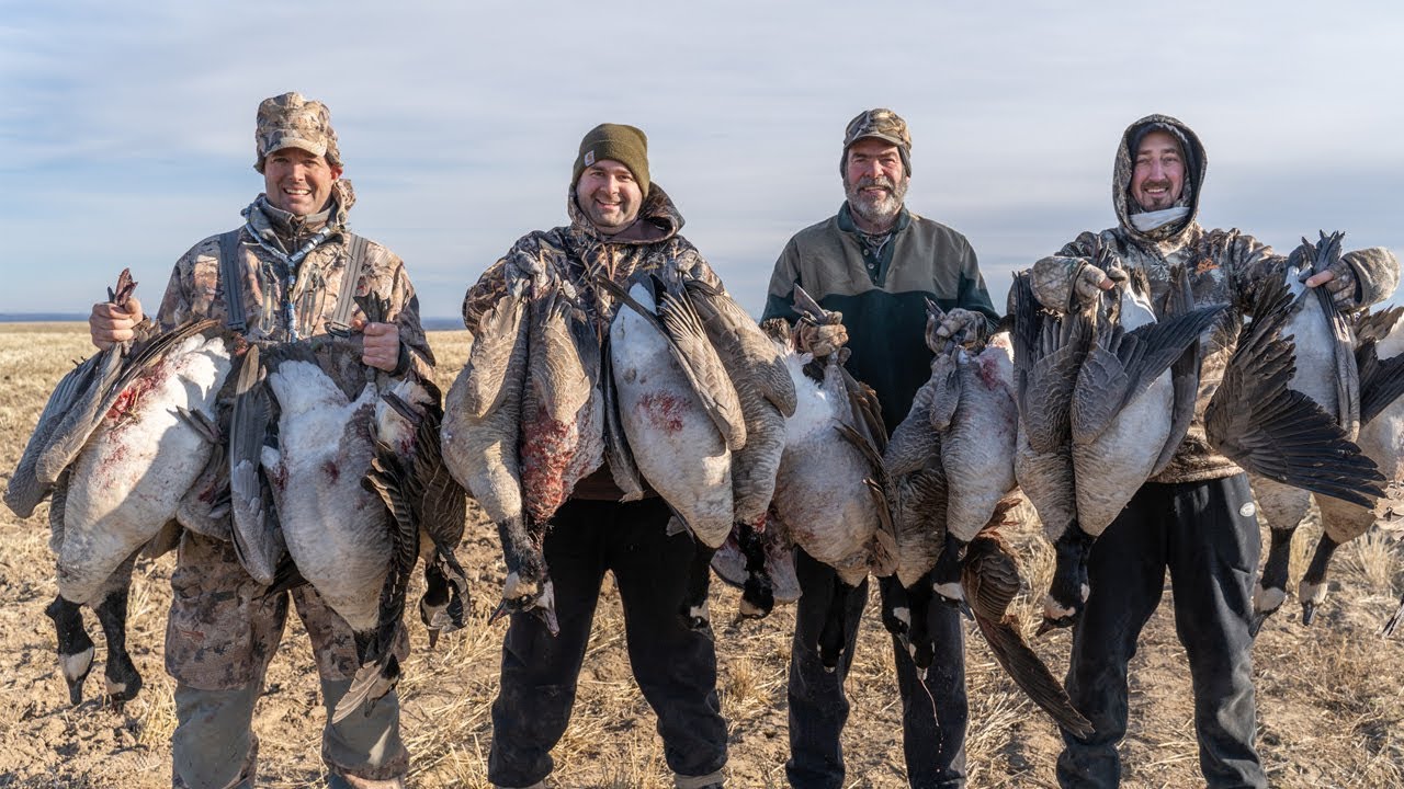 Full Limit Goose Hunt in Washington State over Dave Smith Decoys YouTube