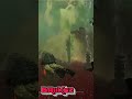 I GOT THAT GUY #helldivers2 #helldivers2funnymoments #gaming