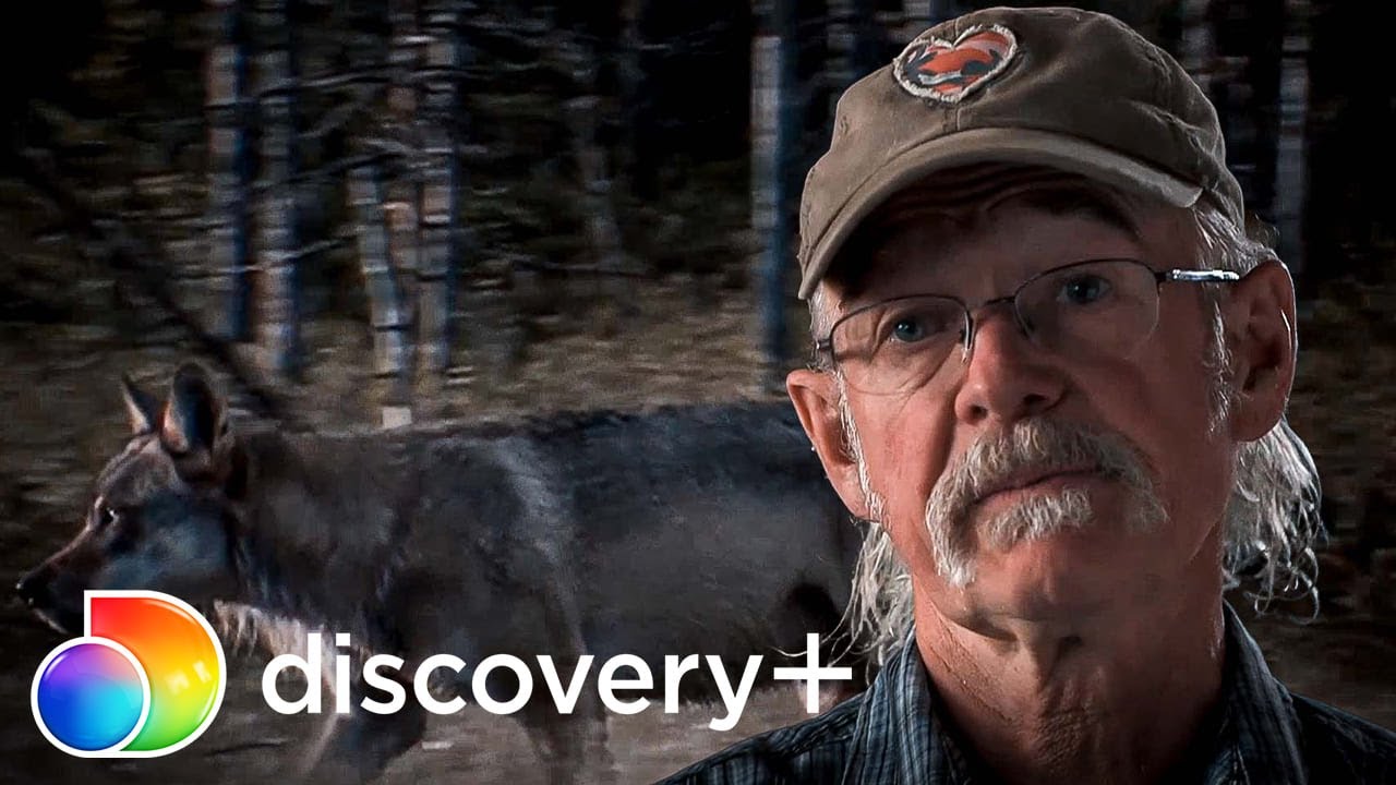Atz persegue um lobo e um misterioso caçador | Alasca: A Última Fronteira | discovery+ Brasil