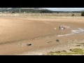 The Arnside Tide Warning Siren 2014