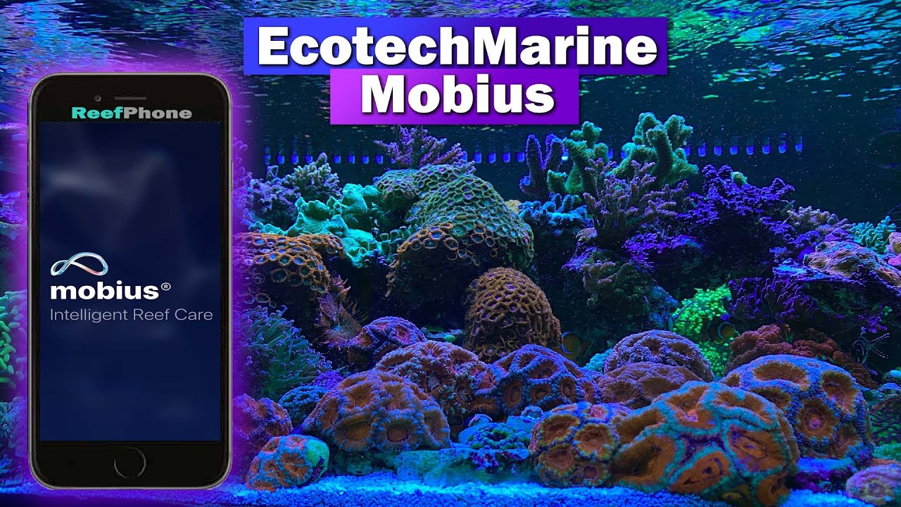 Ecotech Marine Mobius Sneak Peek! - YouTube