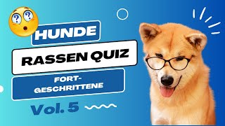 Hunderassen Quiz für Fortgeschrittene Vol. 5