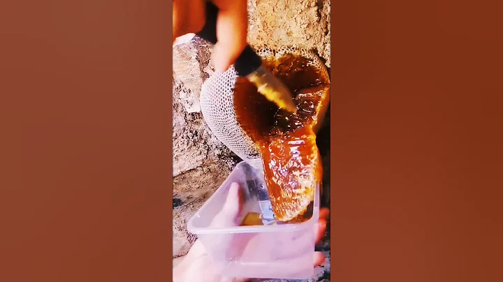 Extreme Honeycomb harvesting 🍯|Harvesting honey from beehive 🐝 EP157 #shorts #satisfying #honeycomb