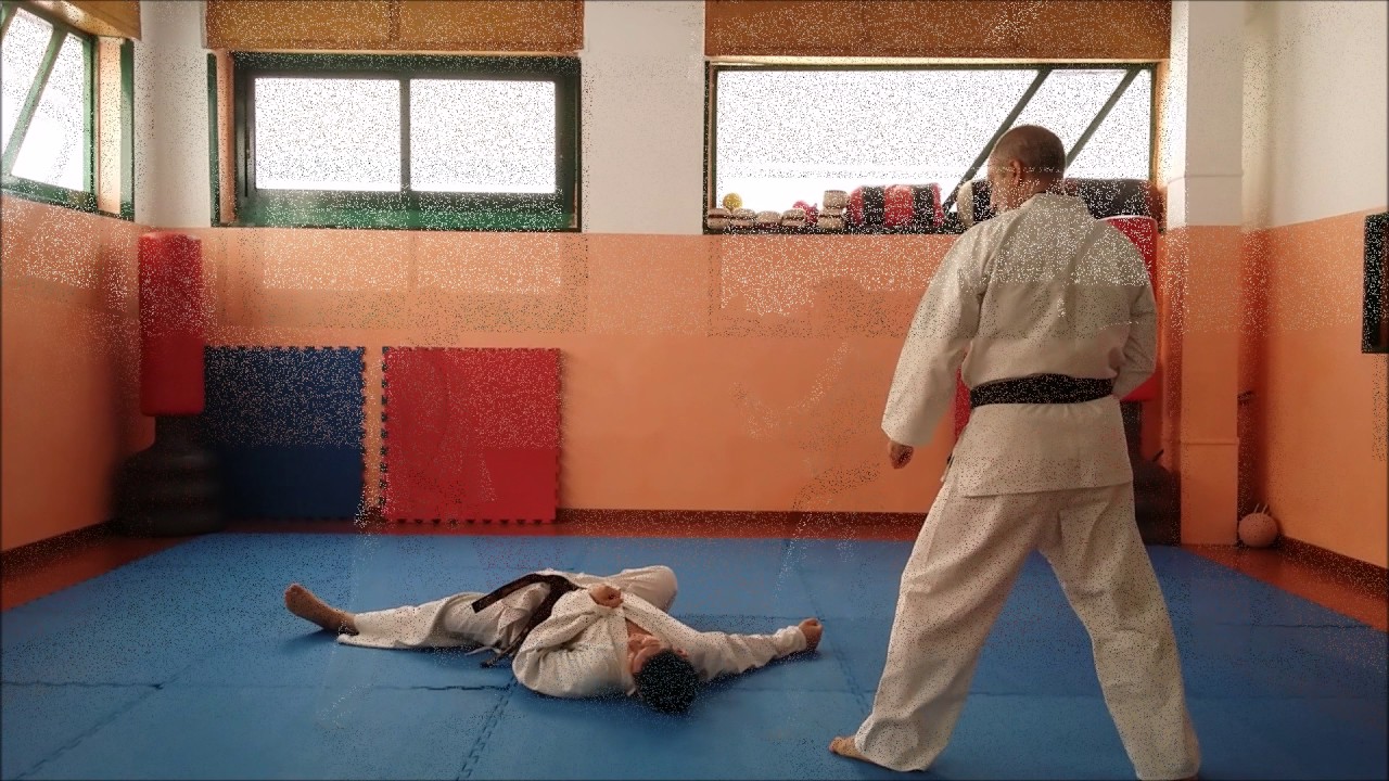 Karate: alcune proiezioni