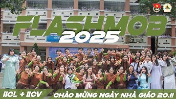 11CL + 11CV | ĐAN MỘNG MẦM XANH [HỘI THI FLASHMOB CHÀO MỪNG 20/11 NĂM HỌC 2025 - 2026]