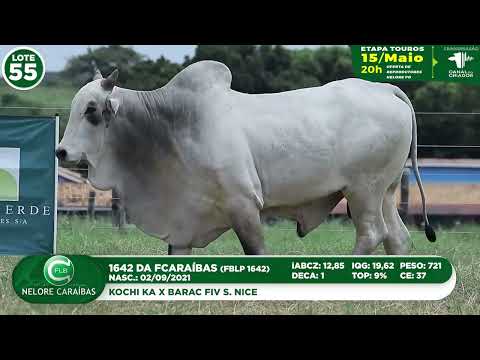 LOTE 55   FBLP 1642