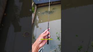 Joran Microfishing Panjang 150Cm