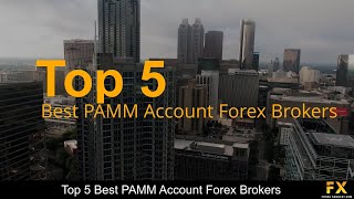 Best PAMM Account Forex Brokers📈 screenshot 4