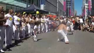 Afro-Brazilian Carnival 2015 - Capoeira Roda
