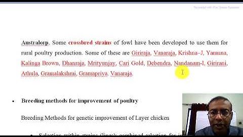 Poultry improvement strategy