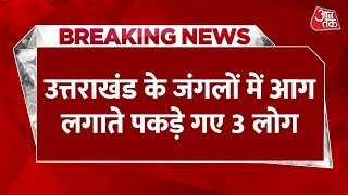 Breaking News: जंगलों में आग लगाते पकड़े गए 3 लोग, CM Pushkar Dhami की सख्ती के बाद हुई करवाई