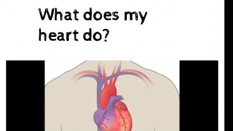 connect primary 3        unit 2 lesson 3