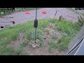 2026-06-17 - Day - Friends of Alta - Alta, UT - Live Stream Bird Feeder Cam (FiRN)