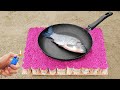 Experiment: Fried Fish on Matches