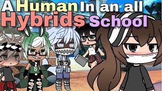 A Human in an all Hybrids School | GLMM