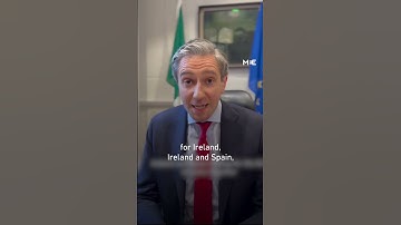 Ireland welcomes EU review of Israel ties