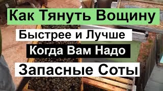 Пасека # 85 Как Заставляем Тянуть Вощину , Когда Вам надо Соты Пчеловодство для начинающих