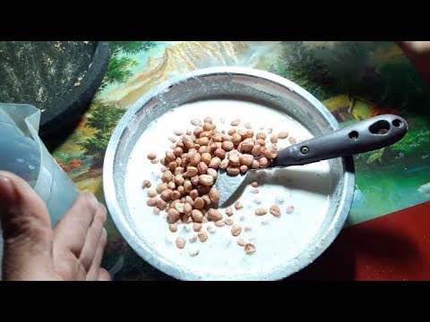 PEYEK KACANG ANTI GAGAL ... RENYAH DAN TIDAK BERMINYAK | BISA UNTUK CAMILAN LEBARAN. 