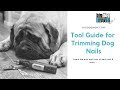 Best Tools for Trimming Dog Nails | Big Dog Mom Facebook Live Workshop