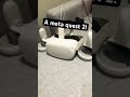 A Meta quest 2!