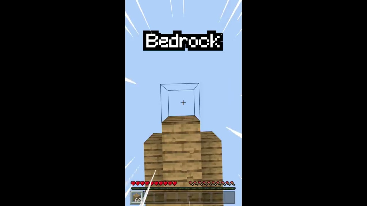 Minecraft Java Vs Bedrock 