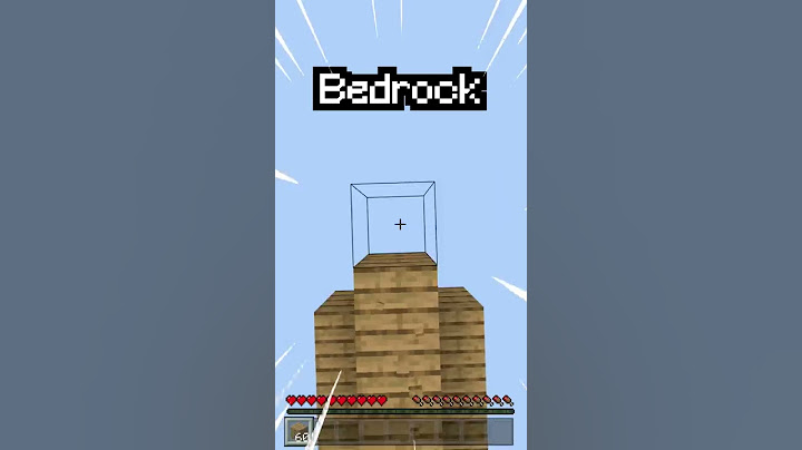 Minecraft Java vs Bedrock!