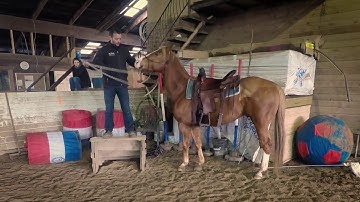 Groundwork: Training a Horse at the Mounting Block