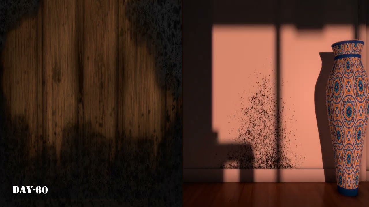 Honor Restorations LLC - Mold Growth Time Lapse