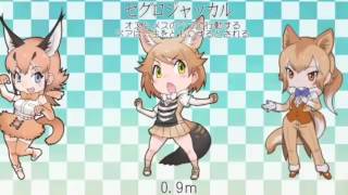 フレンズの大きさ比較　390体＋α並べてみた『けものフレンズ』