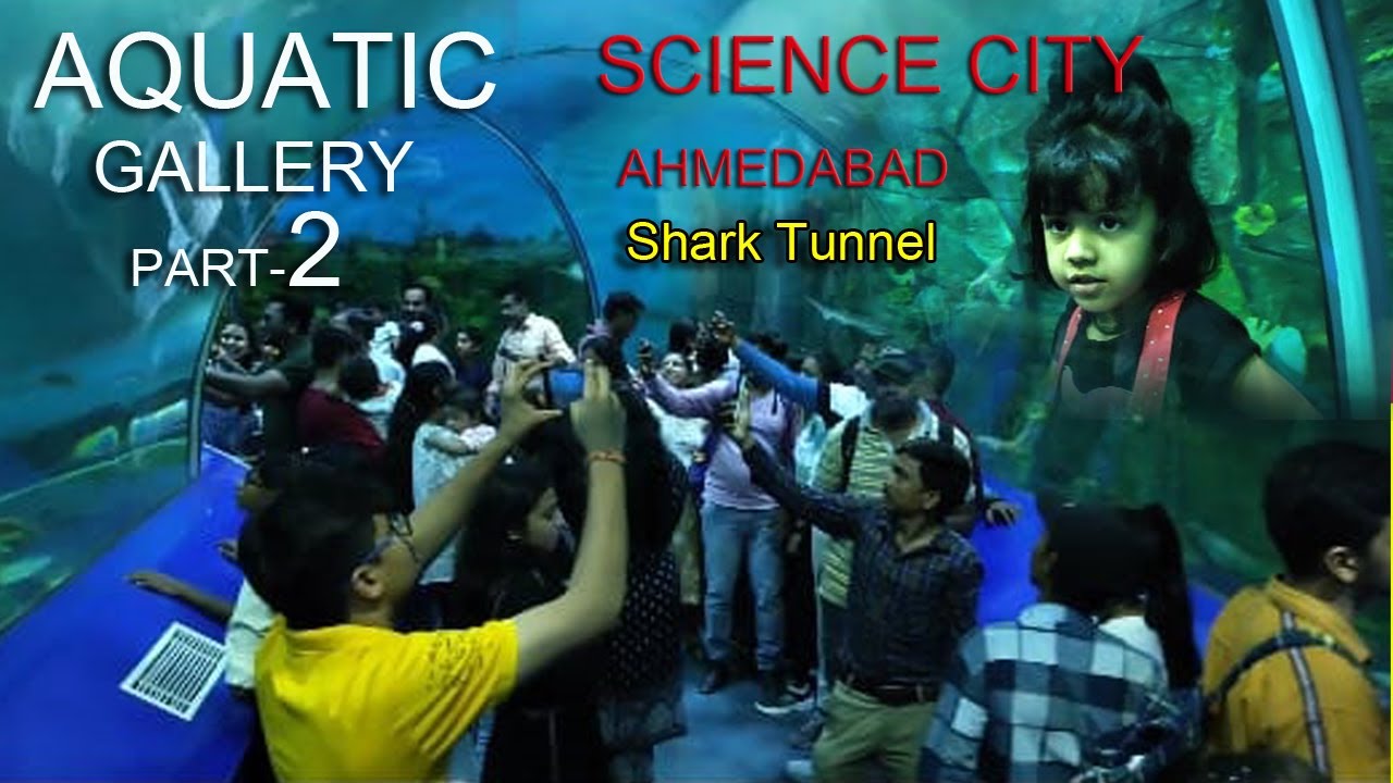 Aquatic Gallery part 2 Science city Ahmedabad The Shark Tunnel