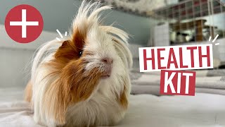 Guinea Pig First Aid Kit || Must-Have Supplies
