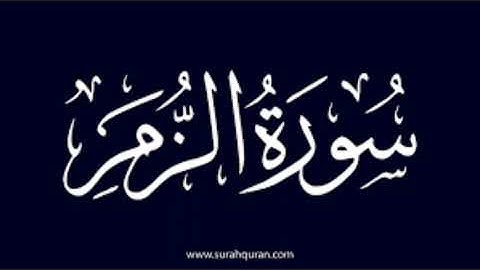 النصف الثاني لسورة الزمر_من تراويح رمضان الماضي_للقارئ حمزة أسد الله #قرآن